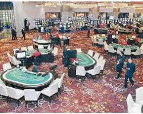 196体育经典版2024最新版